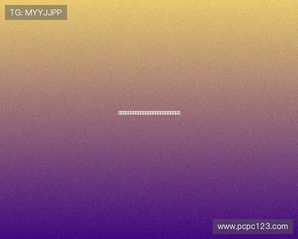 阿莫林在球场上的心酸历程：从高光到低谷的奋斗与坚持